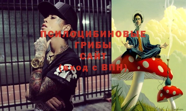 амфетамин Белокуриха